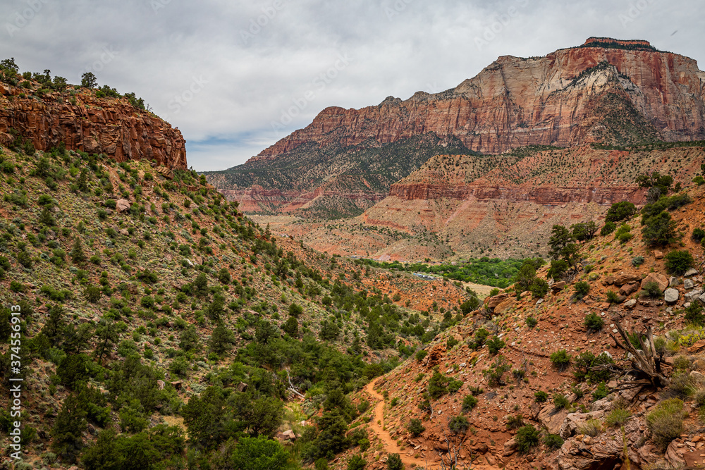 Watchman Trail View Zion National Park