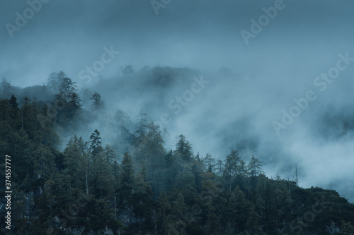 Moody dark foggy vibes with clouds in the mountain tops with moody weather in the austrian alps. Salkammergut in Austria, Europe, Alps © Ricardo