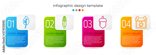 Set line Leaf or leaves, Corn, Acorn and Calendar with autumn leaves. Business infographic template. Vector.