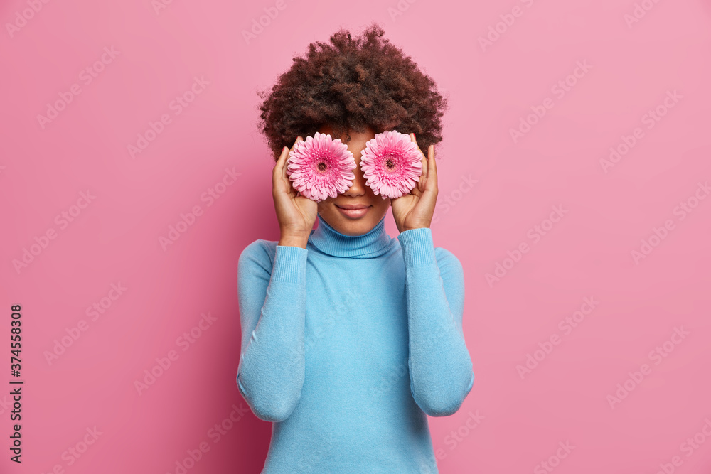 Charming African American woman with natural beauty, holds two gerberas on eyes, dressed in blue turtleneck, poses against rosy background. Busy florist makes bouquet, uses flowers. Arrangement