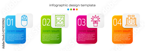 Set line Medicine pill or tablet, LSD acid mark, Marijuana or cannabis plant in pot and Test tube and flask. Business infographic template. Vector.