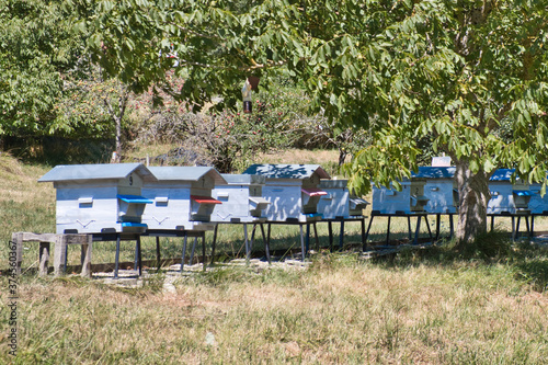 Detached living in leafy suburb for pollinators