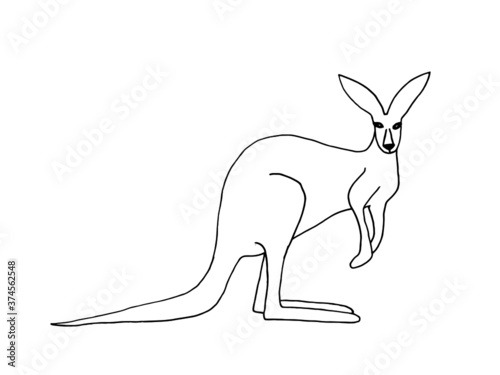 Kangaroo vector illustration. Hand drawn desert animal isolated on white background.