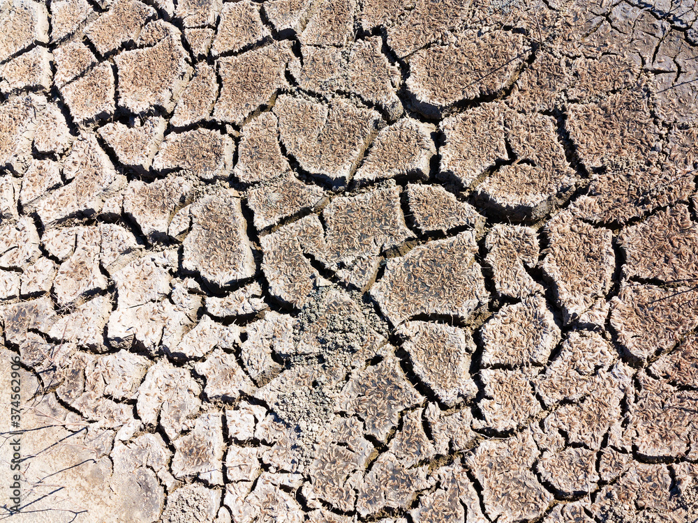 texture of dried cracked surface layer of the earth texture of dried cracked surface layer of the earth