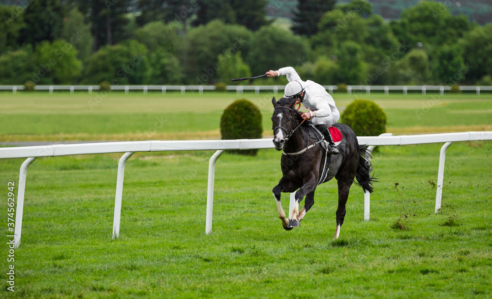 Race horse with jockey on the home straight. Shaving effect. Race horse with jockey on the home straight. Shaving effect.