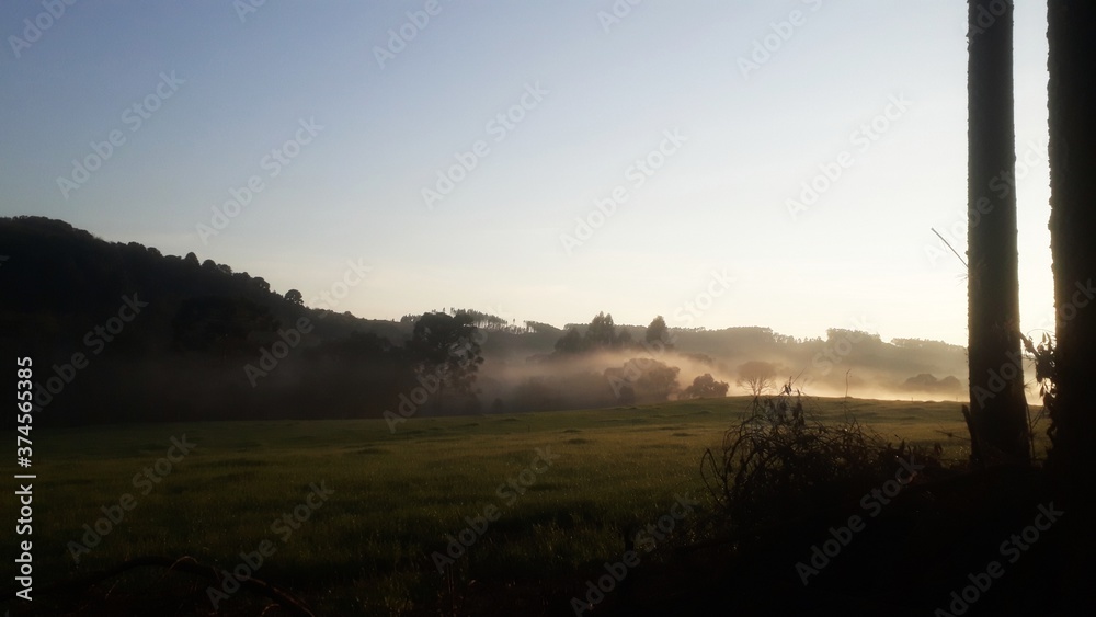 Fototapeta premium sunrise in the forest