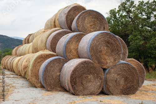 Round bales of straw are stacked in the field.