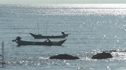 早朝の海で漁をする風景 / 北海道の海岸