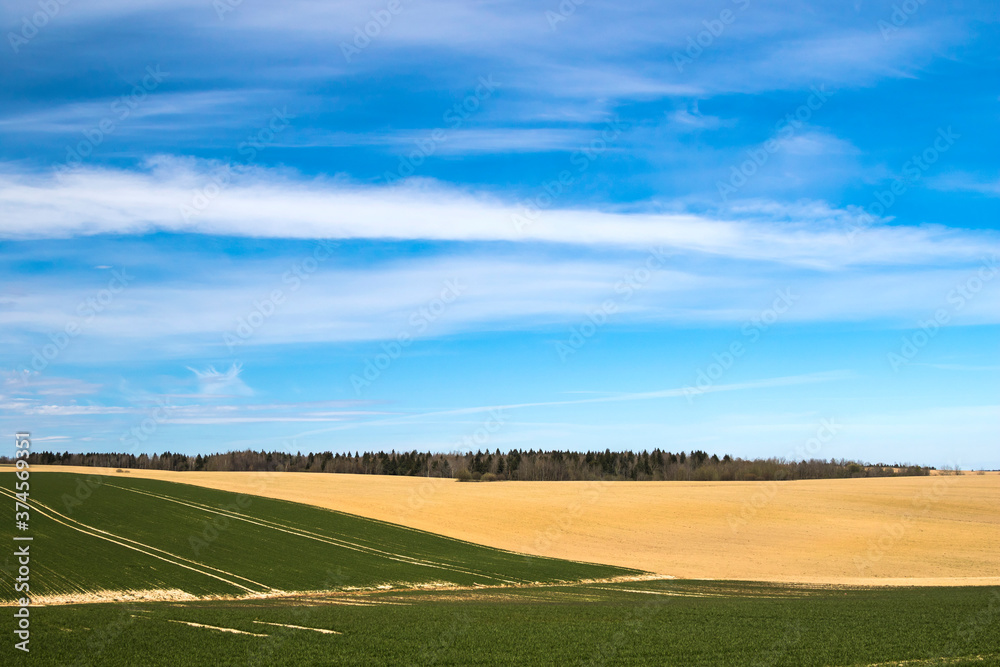 Obraz premium Rural landscape at spring, nature background
