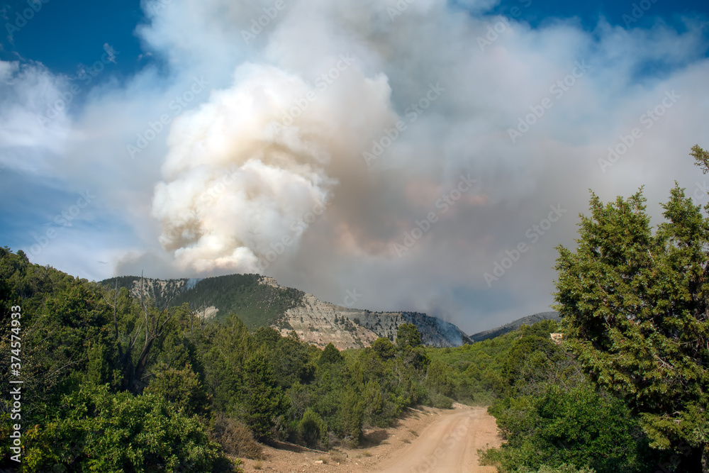 Fototapeta premium Pine Gulch Wildfire Colorado