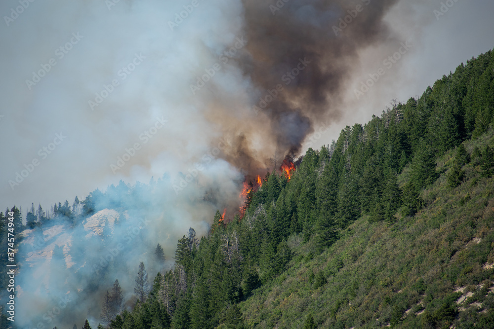 Pine Gulch Wildfire Colorado