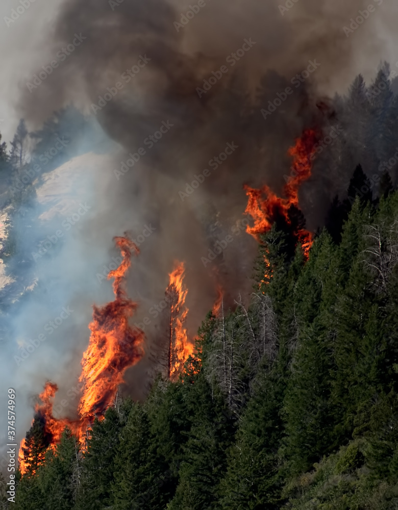 Pine Gulch Wildfire Colorado