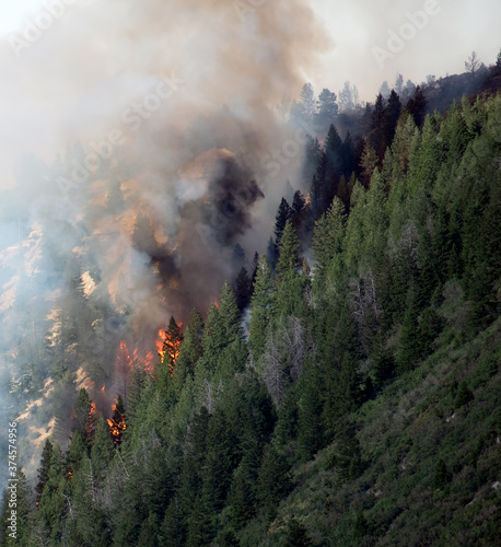 Pine Gulch Wildfire Colorado photo