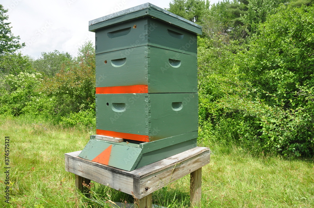 Beekeeper's Beehive Boxes Beekeeper's Beehive Boxes