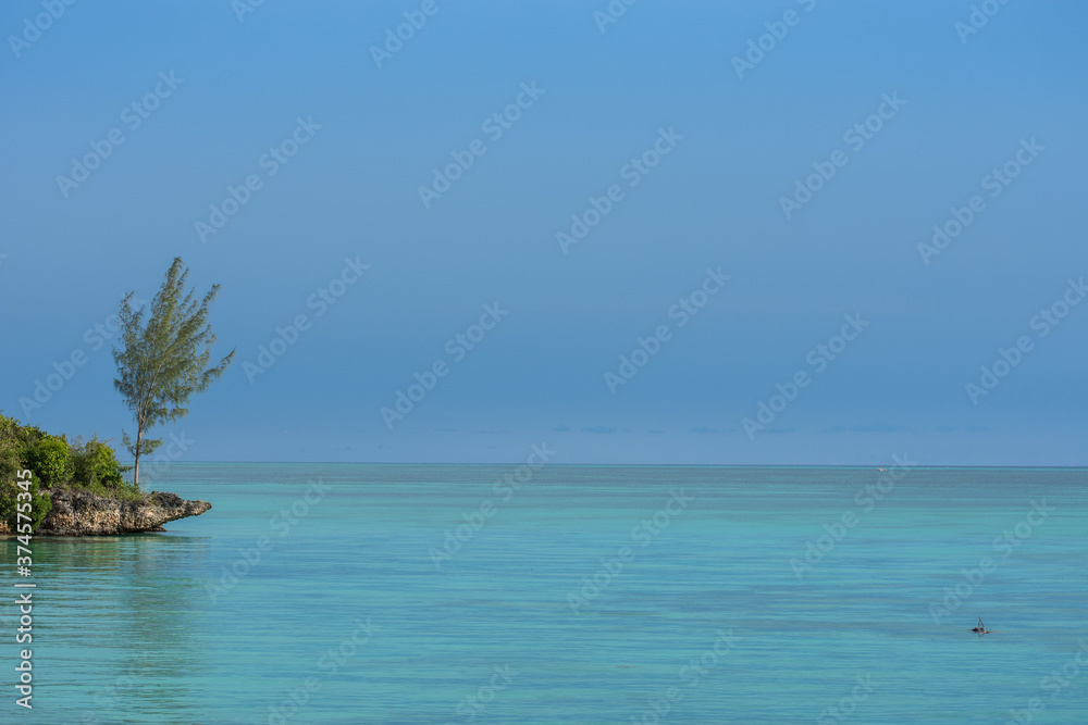 tropical beach with rocks and plants tropical beach with rocks and plants