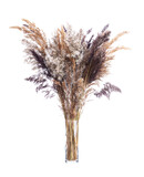 Bouquet of cereal meadow grasses and reeds in a glass vessel on a white background