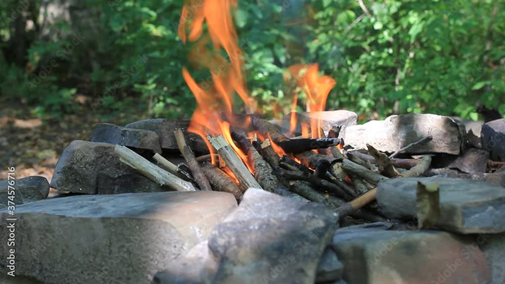 Burning bonfire in forest camping with woods and burning birch in fire. HD video, 25 FPS Burning bonfire in forest camping with woods and burning birch in fire. HD video, 25 FPS