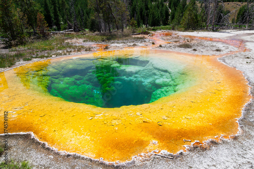 Morning Glory Pool Sign at Yellowstone