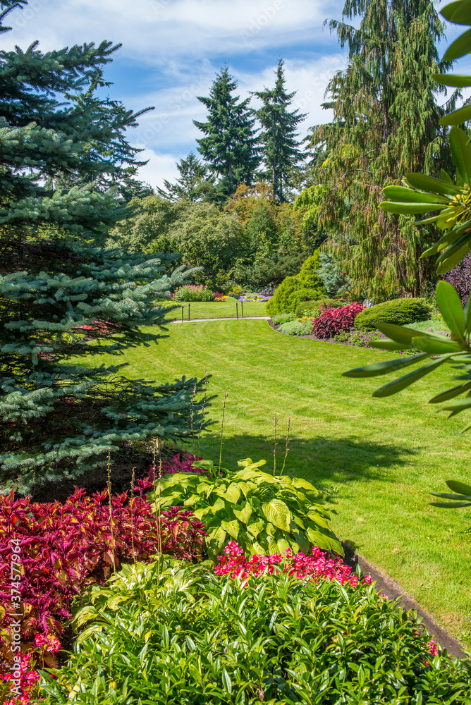A beautiful garden with trees and flowers in Vancouver BC, Canada. The beauty of outdoors and nature