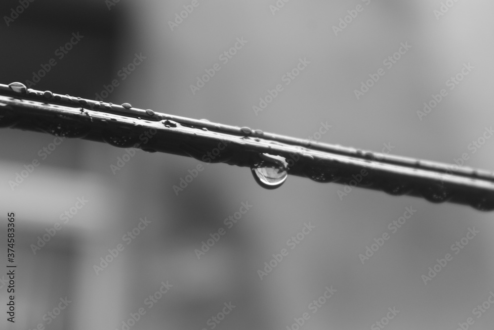 gotas de chuva no varal. gotas de chuva no varal.