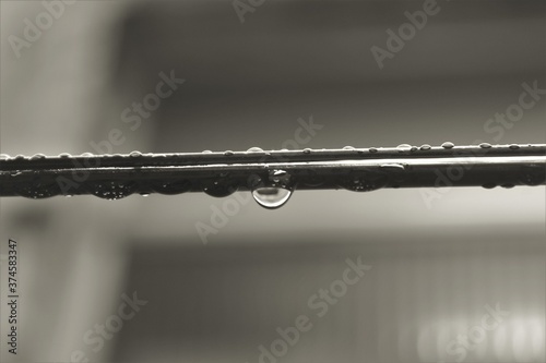 gotas de chuva no varal.