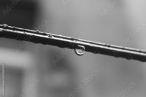 gotas de chuva no varal.