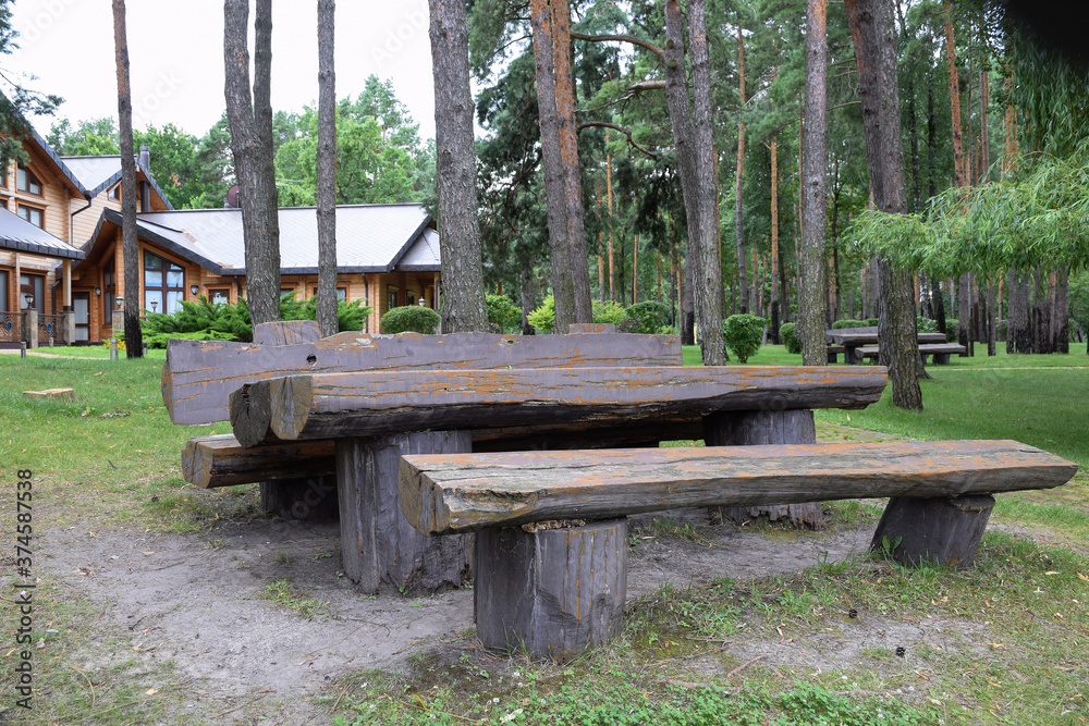 Large table and two benches made of rough-hewn logs in a summer park Large table and two benches made of rough-hewn logs in a summer park