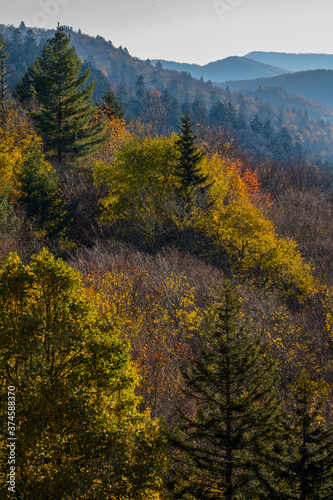 Autumn in the Great Smoky Mountains