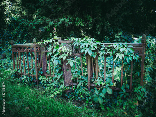Old fence overgrown with vegetation