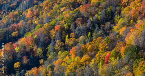 Autumn in the Great Smoky Mountains