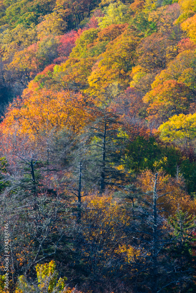 Autumn in the Great Smoky Mountains