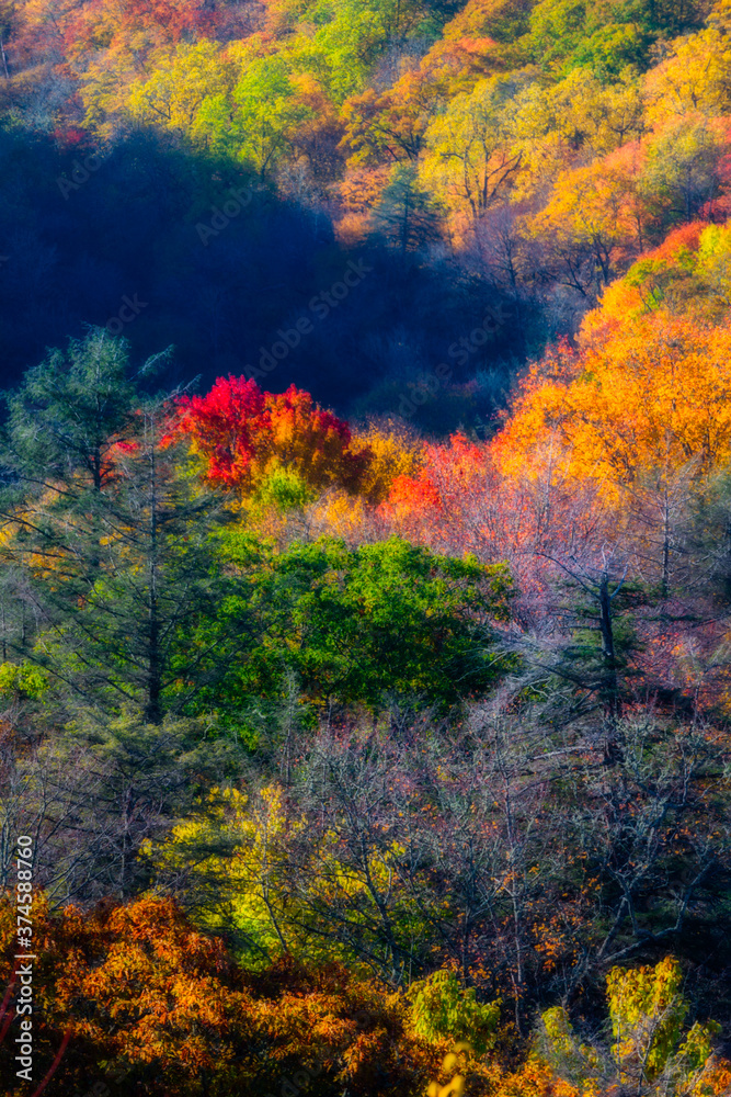 Autumn in the Great Smoky Mountains Autumn in the Great Smoky Mountains