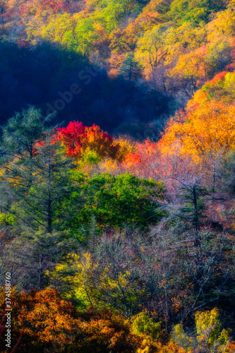 Autumn in the Great Smoky Mountains © Jerry