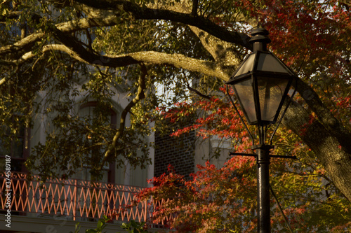 Selective focus of an antique streetlamp in the New Orleans French Quarter