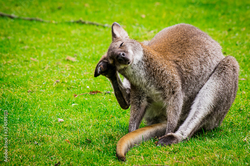 Zoo
