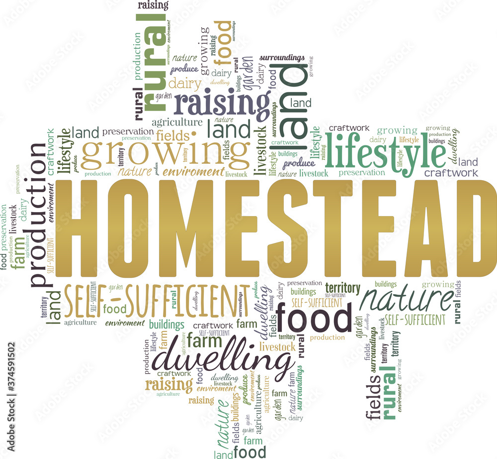 Homestead vector illustration word cloud isolated on a white background.