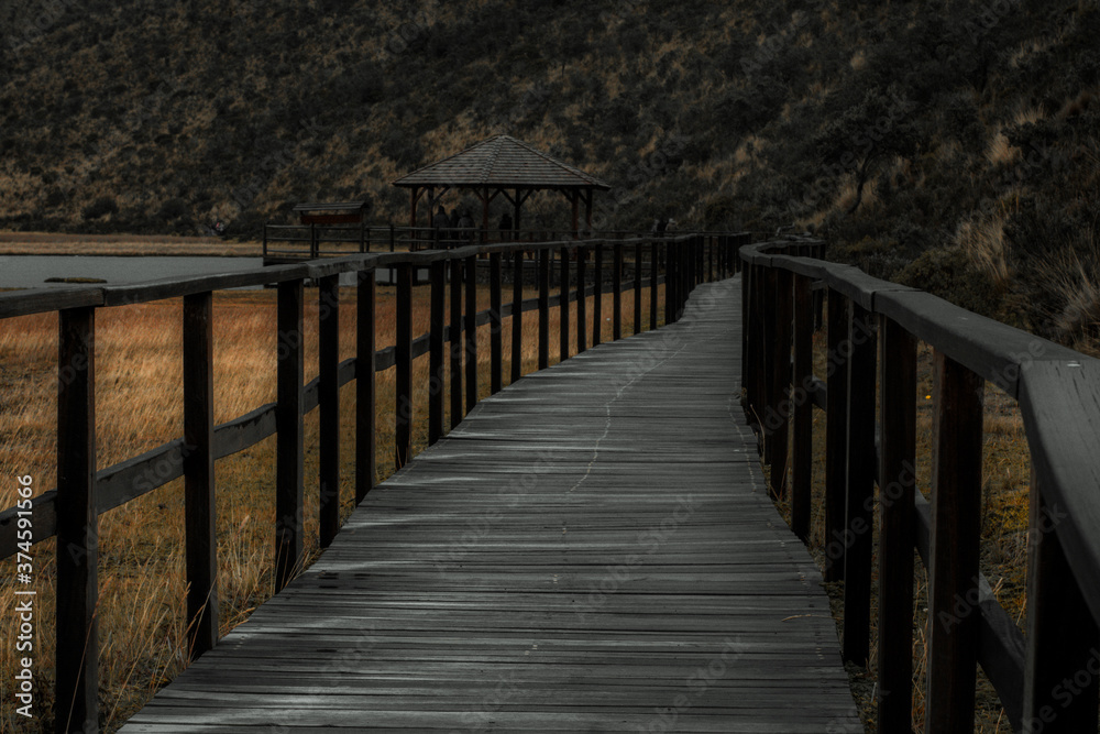 wooden bridge over the lake