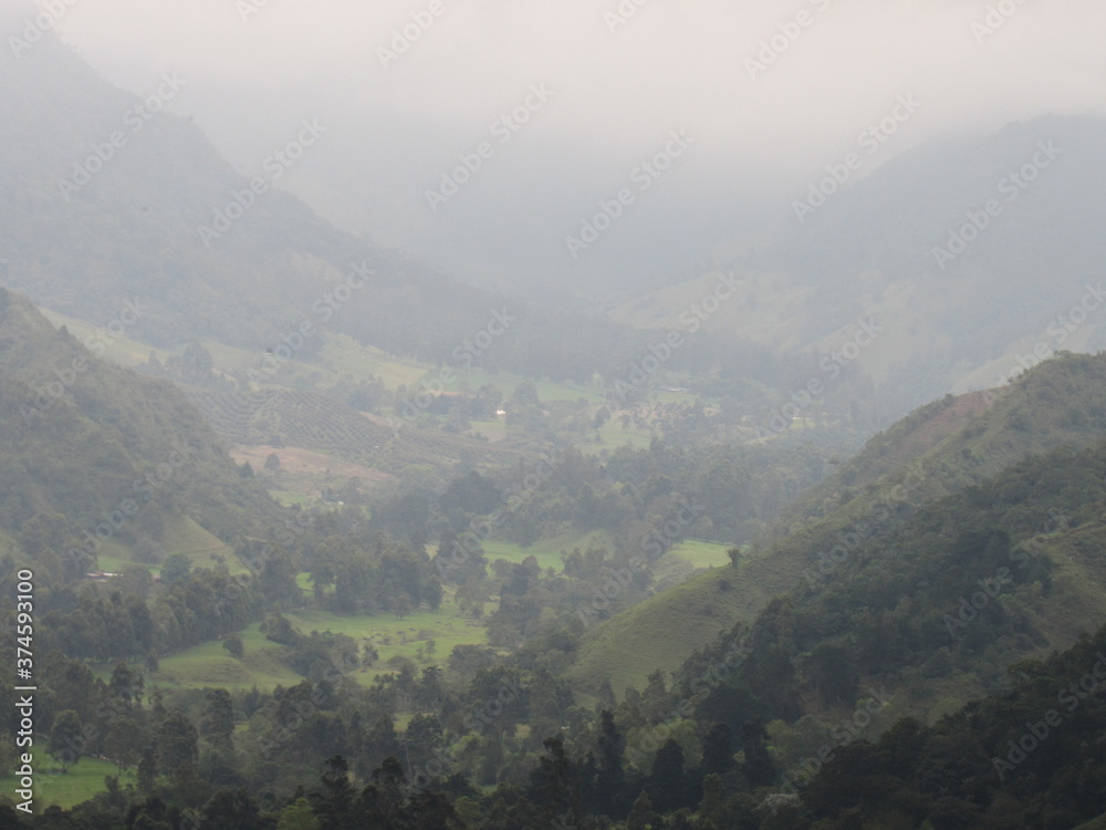 COCORA VALLEY. QUINDIO. COLOMBIA