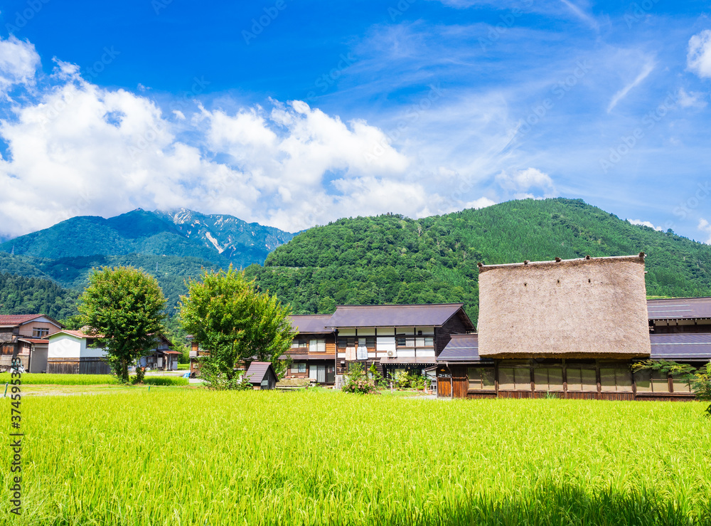 日本の原風景 夏の白川郷 日本の原風景 夏の白川郷