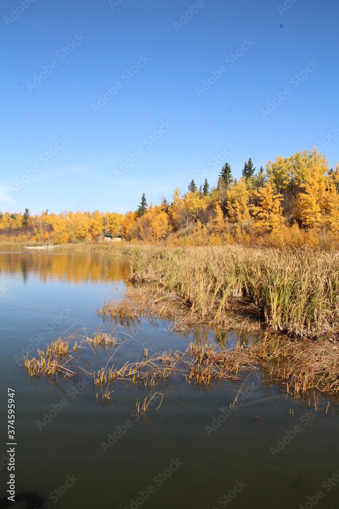 Brilliant Colours By The Lake, Elk Island National Park, Alberta