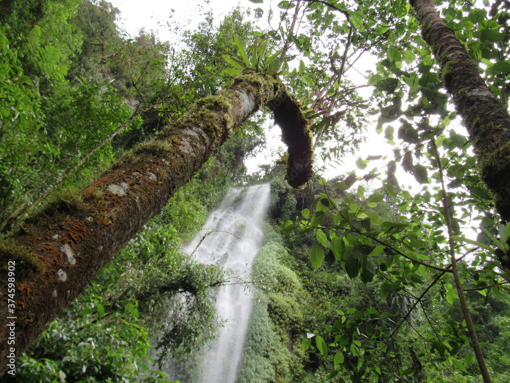 Fototapeta premium SANTA ROSA DE CABAL. RISARALDA. COLOMBIA