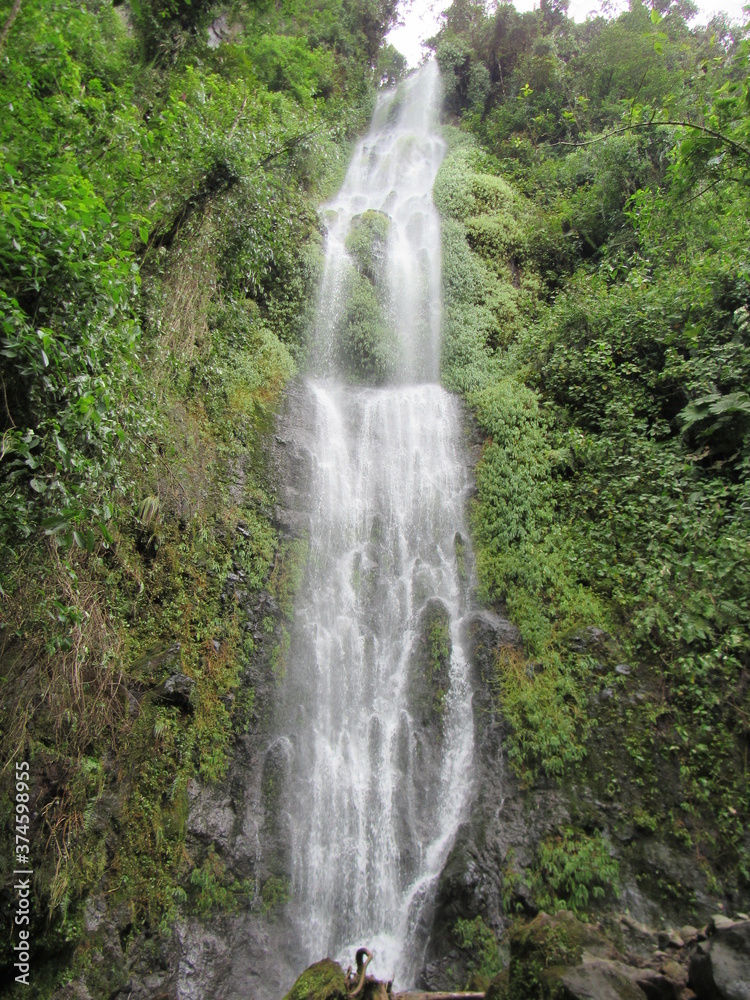 Fototapeta premium SANTA ROSA DE CABAL. RISARALDA. COLOMBIA