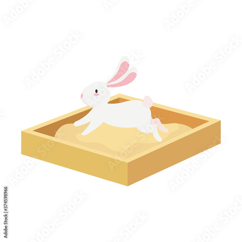 Cute white rabbit cartoon on sand box design, Animal life nature and character theme Vector illustration