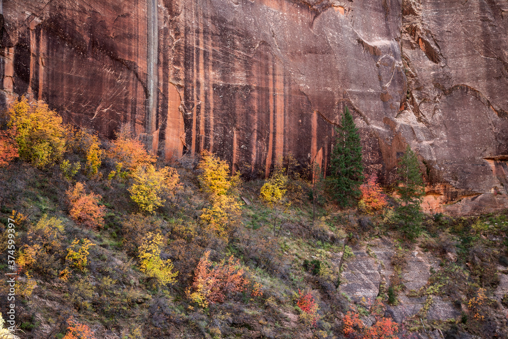red rocks in autumn in Zion National Park
