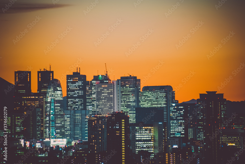 Obraz premium 文京シビックセンターから見える街並みと富士山