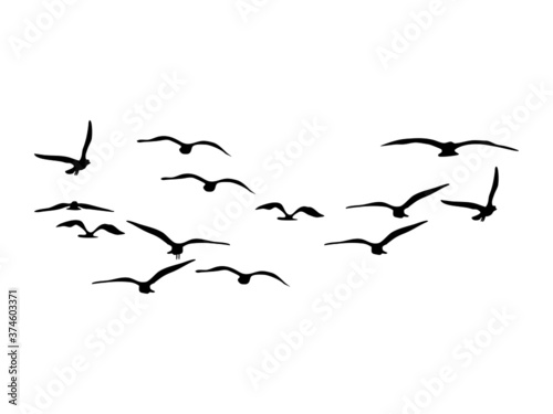 Fotografie, Tablou silhouette Flock of Flying Birds