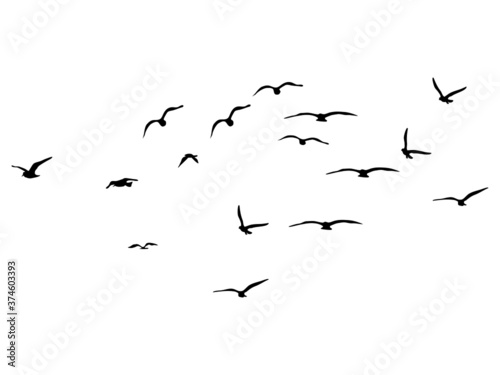 silhouette Flock of Flying Birds. flying birds on white background. vector illustration