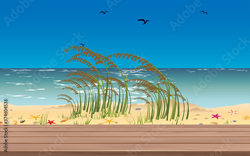 blank wooden table on the beach in the daytime