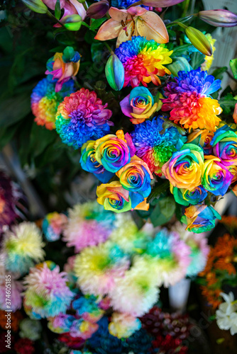 Fototapeta Naklejka Na Ścianę i Meble -  Close up of colorful flower