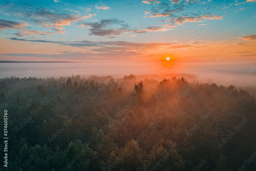 Picturesque sunrise with bright sun over a beautiful forest with fog. Summer atmospheric morning, nature landscape and mystical fog Picturesque sunrise with bright sun over a beautiful forest with fog. Summer atmospheric morning, nature landscape and mystical fog